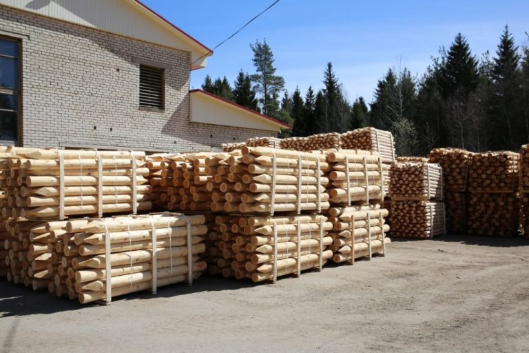 Read more about the article Pārdod mietus